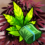Hempire v2.28.0 MOD APK (Unlimited Money, VIP Unlocked)